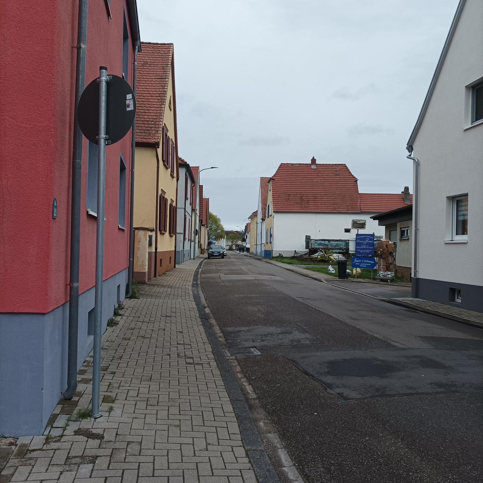 Naturfreunde Speyer 2p, Altrheinnahe, Hundefreundlich Romerberg