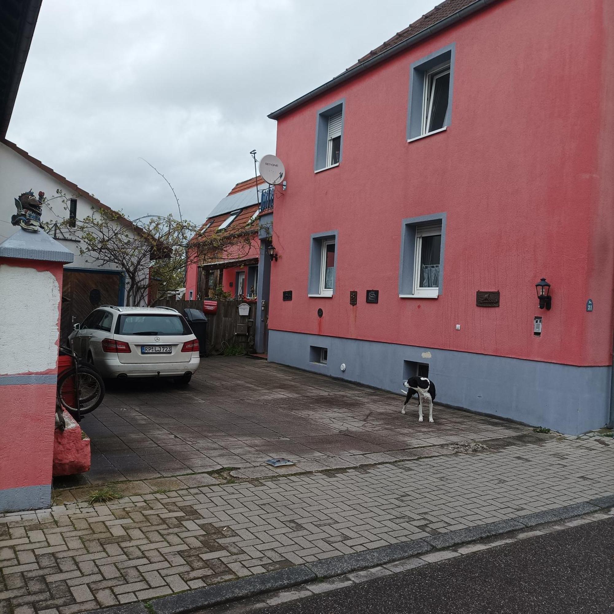 Naturfreunde Speyer 2p, Altrheinnahe, Hundefreundlich Apartment