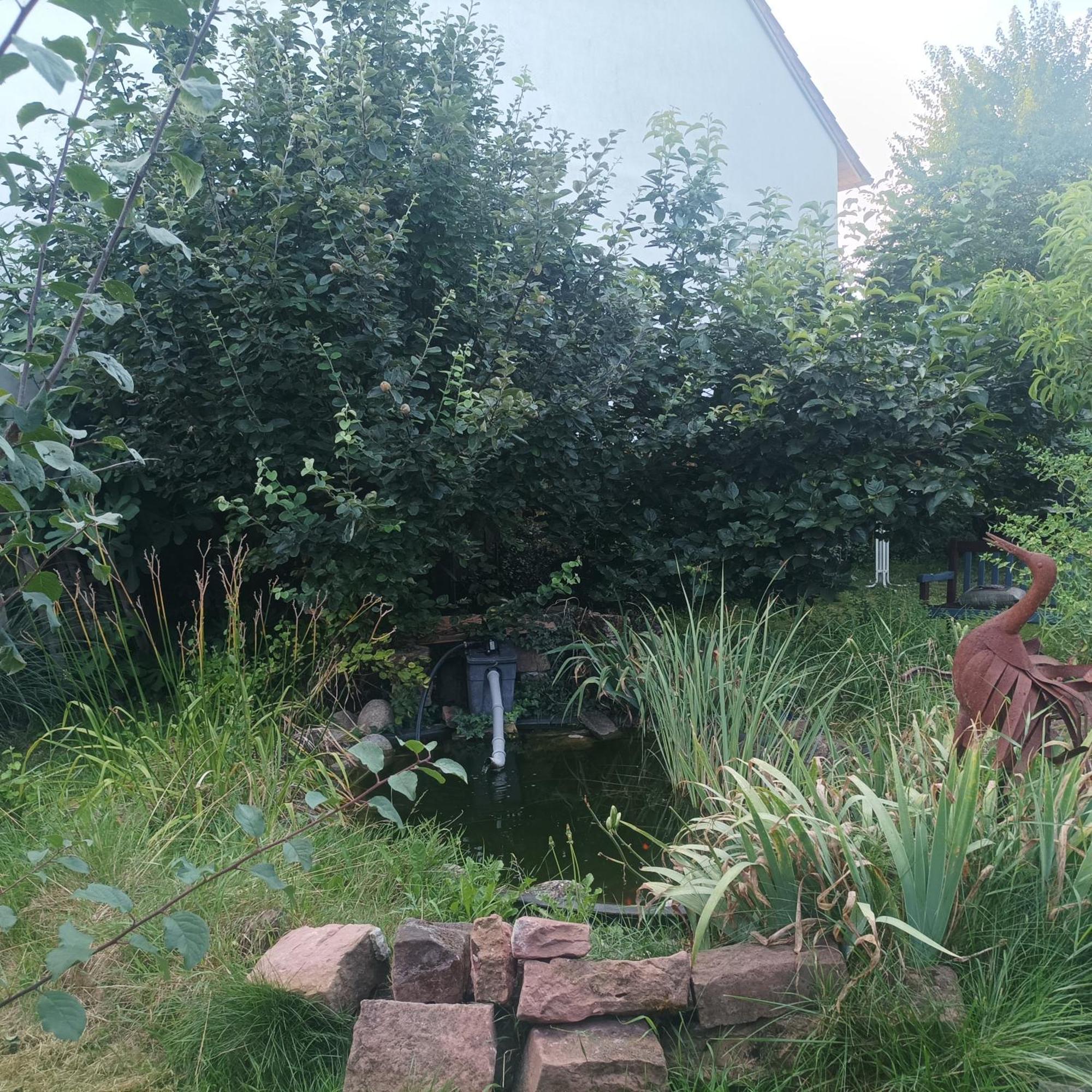 Naturfreunde Speyer 2p, Altrheinnahe, Hundefreundlich Apartment Romerberg